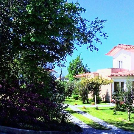 Casa Vale Do Rio Ovil Bed & Breakfast Baiao Exterior photo