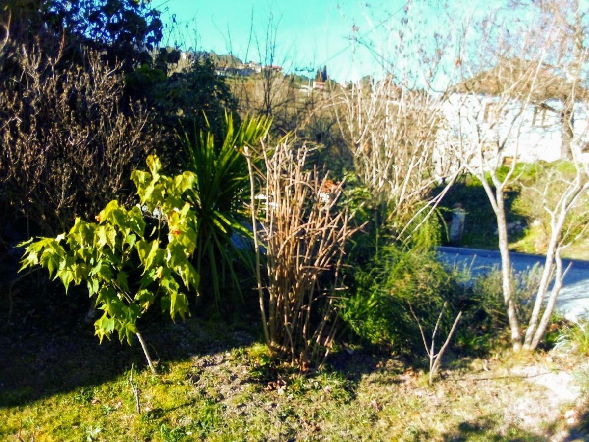 Casa Vale Do Rio Ovil Bed & Breakfast Baiao Exterior photo